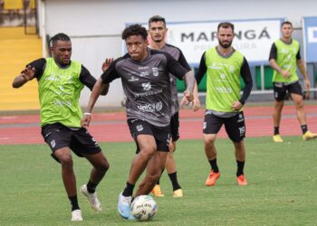 Galo Maringá treinando