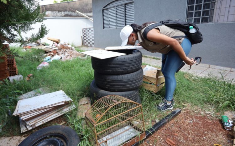Combate à dengue é intensificado em Maringá - Foto: Fábio Reina / PMM