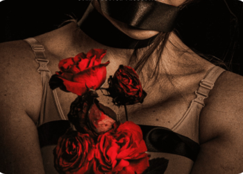 O silêncio das Rosas, de Eliton Oliveira