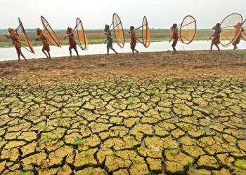 Indicadores de mudanças climáticas atingiram níveis recordes em 2023, diz ONU