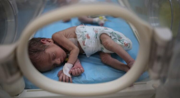 Aumenta o número de recém-nascidos à beira da morte em Gaza, diz OMS