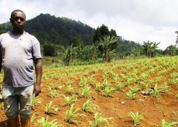 São Tomé e Príncipe lança busca a “fundos inovadores” em favor da biodiversidade