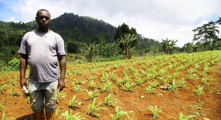 São Tomé e Príncipe lança busca a “fundos inovadores” em favor da biodiversidade
