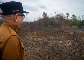 Indonésia lidera o caminho para conter incêndios florestais