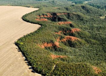 Cerrado tem alta de 19% nos alertas de desmatamento em fevereiro