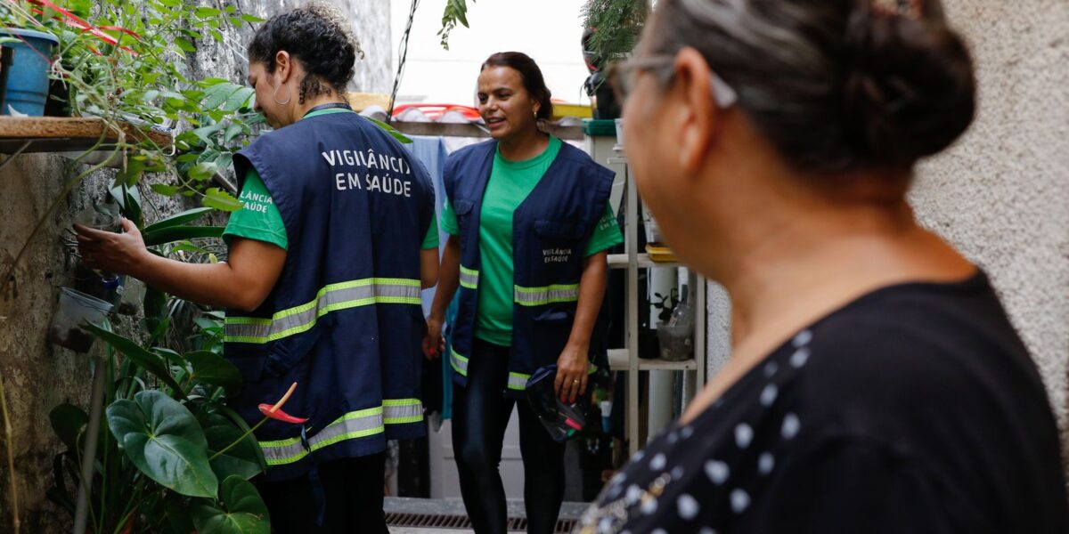 Em um mês, casos de dengue dobram em São Paulo