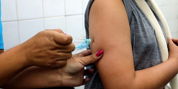 Minas e DF reduzem casos de dengue, mas cenário é visto com cautela