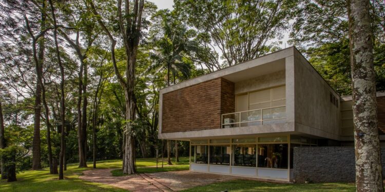 Museu paulistano completa 50 anos com mostras, palestras e concertos