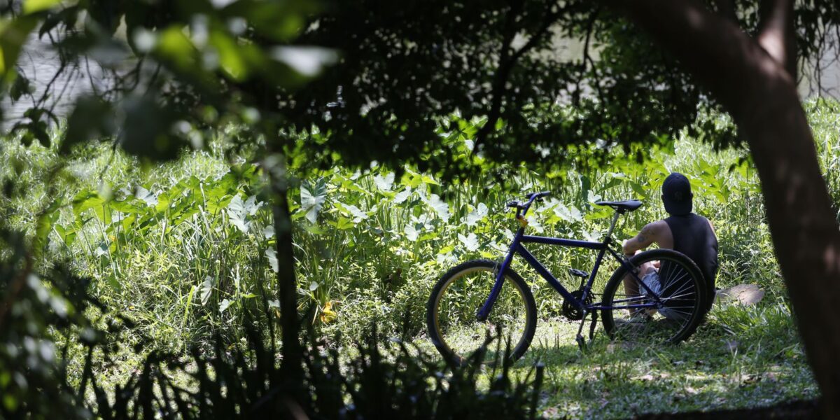 Outono chega com temperaturas acima da média em todas as regiões