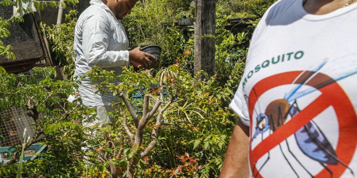 Paraná decreta situação de emergência em saúde por dengue