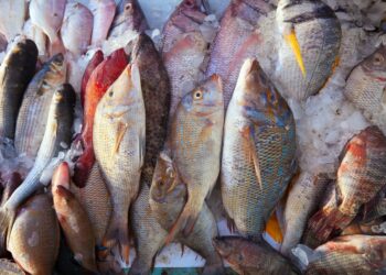 Vendas de pescados cresce ainda mais na última semana antes da Páscoa - Foto: Ilustração/Freepik