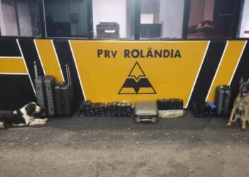 Polícia Militar do Paraná apreende 82 quilos de maconha durante abordagem em ônibus em Rolândia