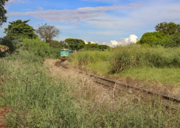 Empresa Rumo recebe primeira multa do ano por não realizada roçada no entorno dos trilhos - Foto: Arquivo/Prefeitura de Sarandi