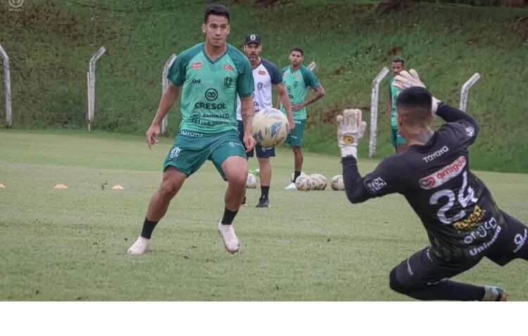 Foto: Rodrigo Araújo/Maringá FC