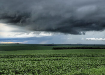 Fevereiro ficou marcado por altas temperaturas e chuvas estáveis nos estado - Foto: José Fernando Ogura/AEN