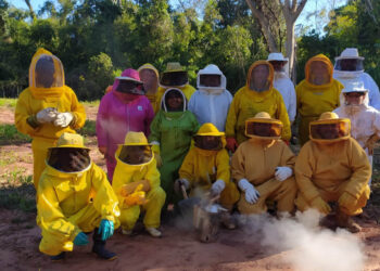 O Paraná é o segundo principal produtor nacional de mel - Foto: UEM