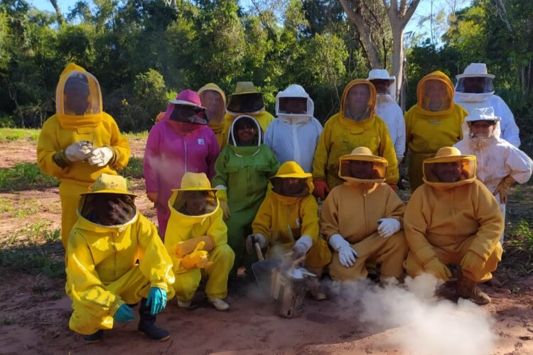 O Paraná é o segundo principal produtor nacional de mel - Foto: UEM