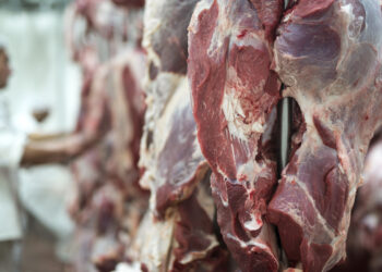 Lula e Fávaro visitam planta frigorífica recém-habilitada pela China para exportação de carne