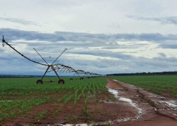 MIDR prepara estudos para reconhecer polo de agricultura no Mato Grosso do Sul