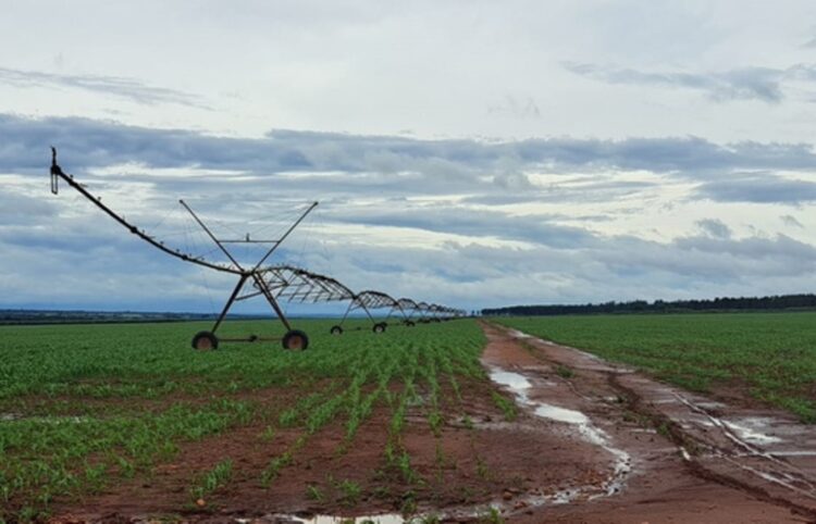 MIDR prepara estudos para reconhecer polo de agricultura no Mato Grosso do Sul