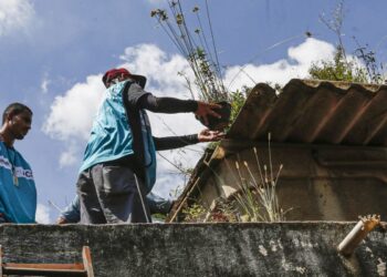 Sete estados e o DF têm tendência de queda nos casos de dengue