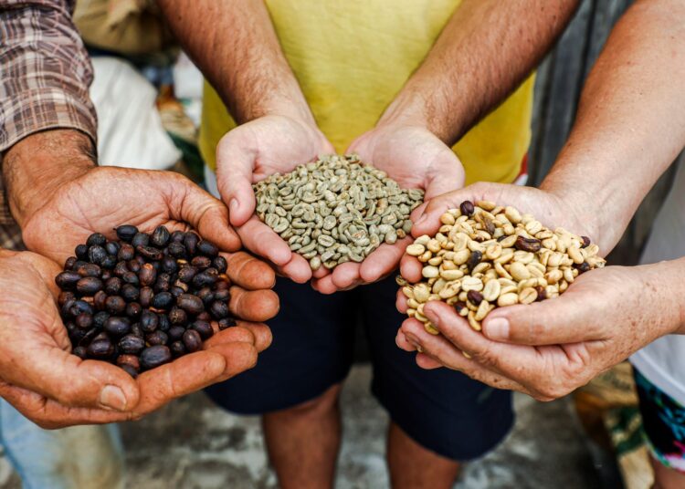 Café Qualidade Paraná divulga vencedores