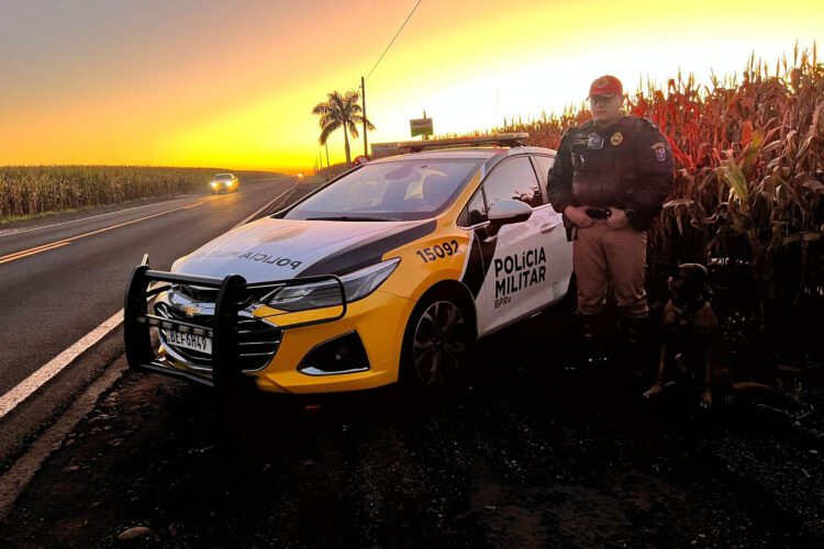 Operação Corpus Christi reforça segurança nas rodovias - Foto: PMPR