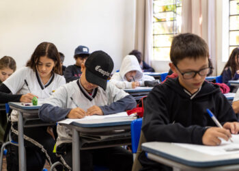 Educação terá mais vagas na Olimpíada de  Matemática das Escolas Estaduais (OMAP) em 2024 - Foto: Felipe Barboza/Seed