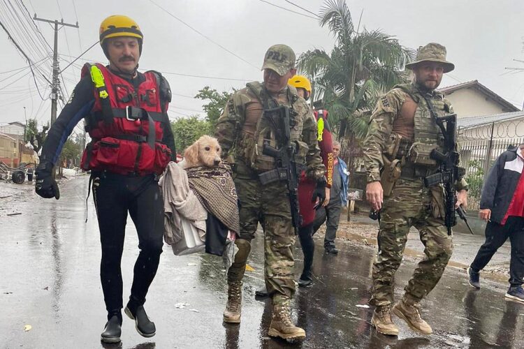 Após salvamentos e solidariedade, operação do Paraná no RS termina com dever cumprido - Foto: SESP