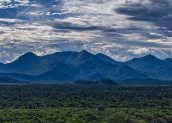 Modelo de negócio é pensado para contribuir com a diminuição da pegada de carbono - Foto: José Fernando Ogura/Arquivo AEN