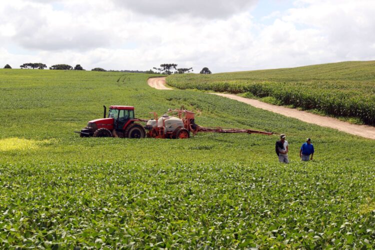 Campo no Paraná (Crédito: Arquivo/AEN)