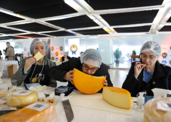 Dos cerca de 13 milhões de litros de leite produzidos diariamente no Estado, 6 milhões são destinados à fabricação de queijos - Foto Gilson Abreu/Aen