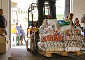 Por meio da Defesa Civil o Paraná enviou um total de 557 caminhões com donativos para as vítimas do Rio Grande do Sul - Foto: Roberto Dziura Jr/AEN