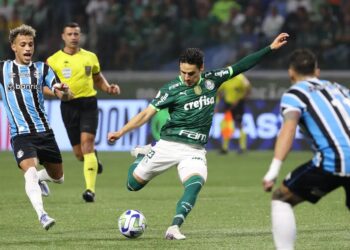 Divulgação/Palmeiras.