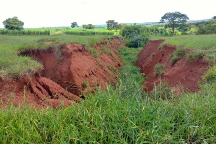 Rodovia de Tapejara vai receber melhorias de drenagem e contenção de erosão - Foto: DER-PR