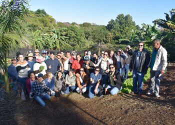 Horta comunitária em Maringá recebe visita internacional - Foto: Copel