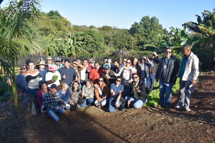 Horta comunitária em Maringá recebe visita internacional - Foto: Copel