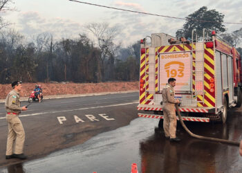 O incêndio mobilizou vários municípios que disponibilizaram caminhões-pipa - Foto: IAT/PR