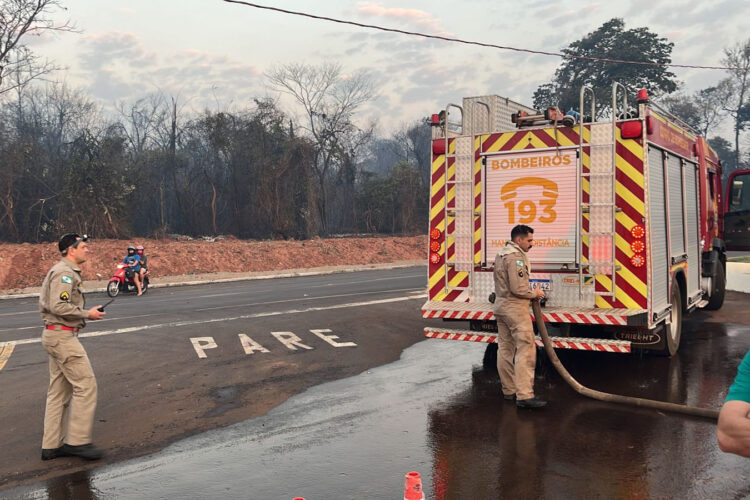 O incêndio mobilizou vários municípios que disponibilizaram caminhões-pipa - Foto: IAT/PR