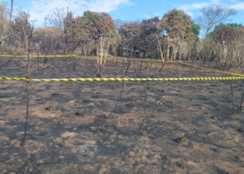 Ossada encontrada após incêndio pode ser de Hayslon