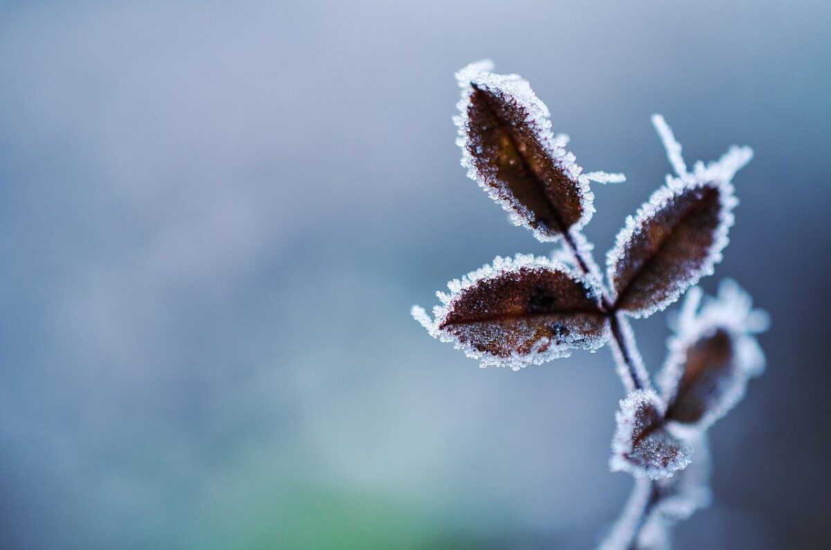 frio maringá