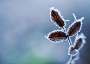 frio maringá