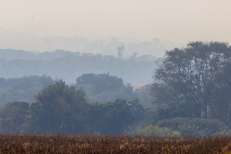 Fumaça oriunda do Mato Grosso do Sul. Crédito: Edino Krug/Itaipu Binacional