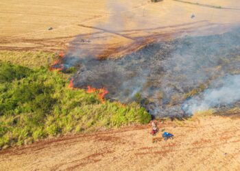 Imagem de incêndio no Colina Verde em Maringá no mês de agosto - Foto: Alexandre Henrique/DM Fotos