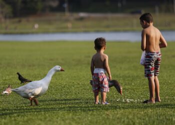 Mesmo que a criança não peça, ofereça água - Foto: Jonathan Campos/AEN