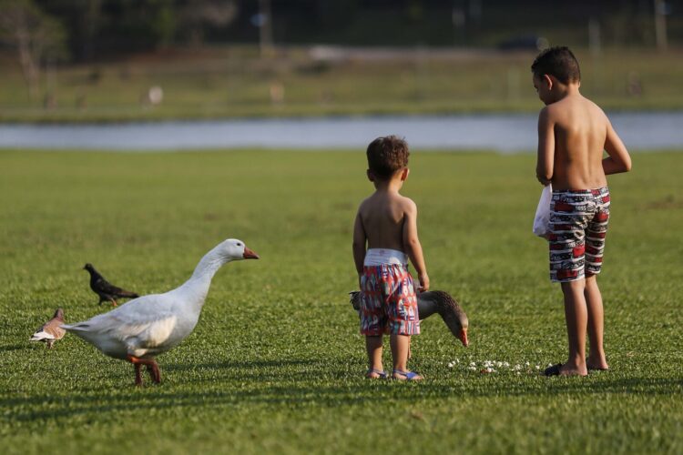 Mesmo que a criança não peça, ofereça água - Foto: Jonathan Campos/AEN