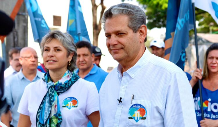 Silvio Barros responde perguntas sobre arborização e queda de árvores