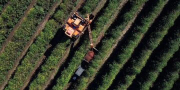 Foto: José Fernando Ogura/Arquivo/AEN