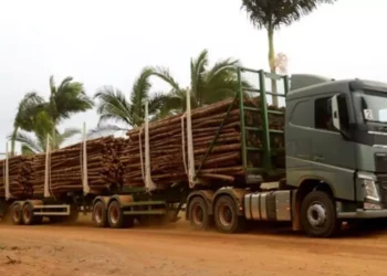 Habilitados nas categorias C, D ou E podem rebaixar CNH sem precisar emitir uma nova - Foto: Divulgação