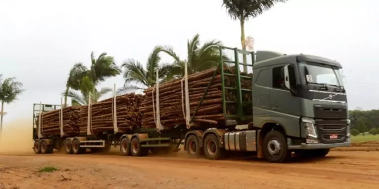 Habilitados nas categorias C, D ou E podem rebaixar CNH sem precisar emitir uma nova - Foto: Divulgação